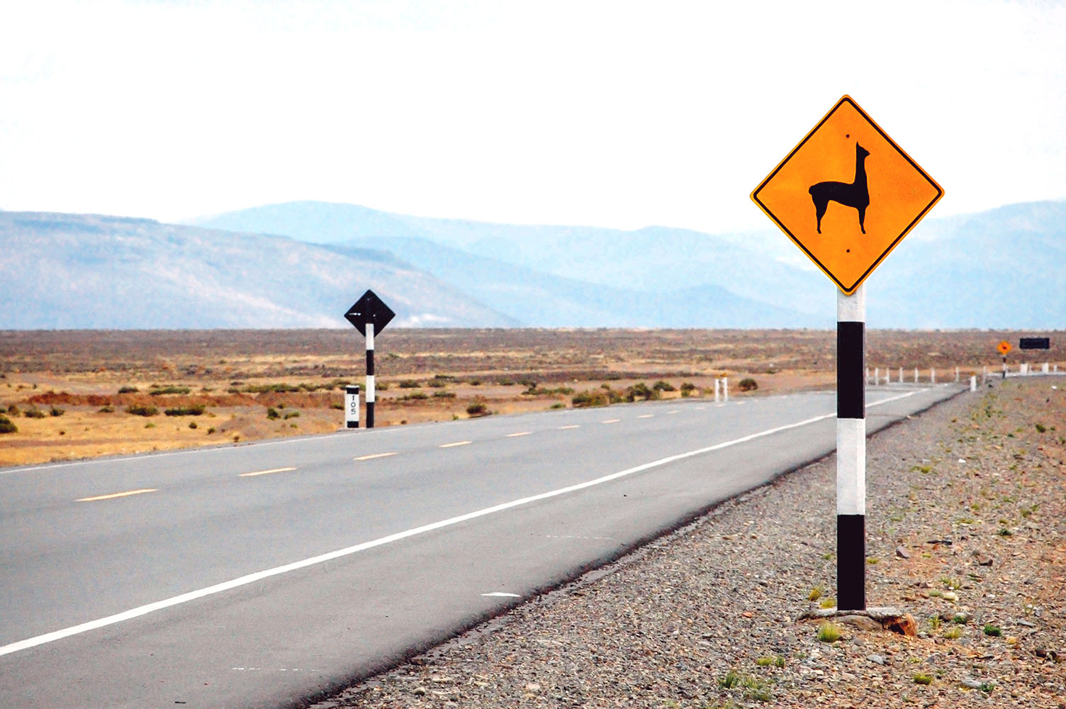 Llama road sign in Peru, Andes, South America