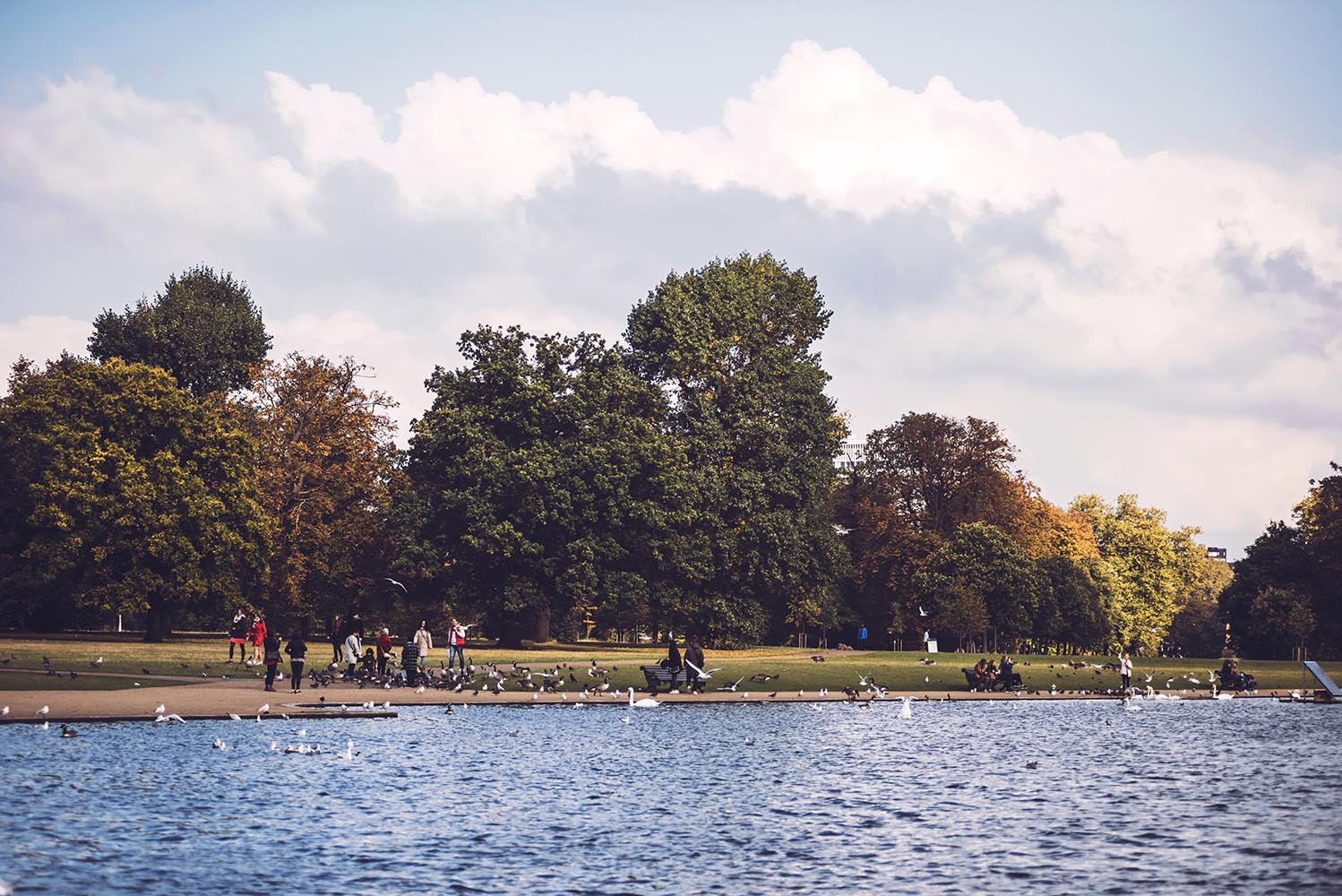 Lake in Hyde Park