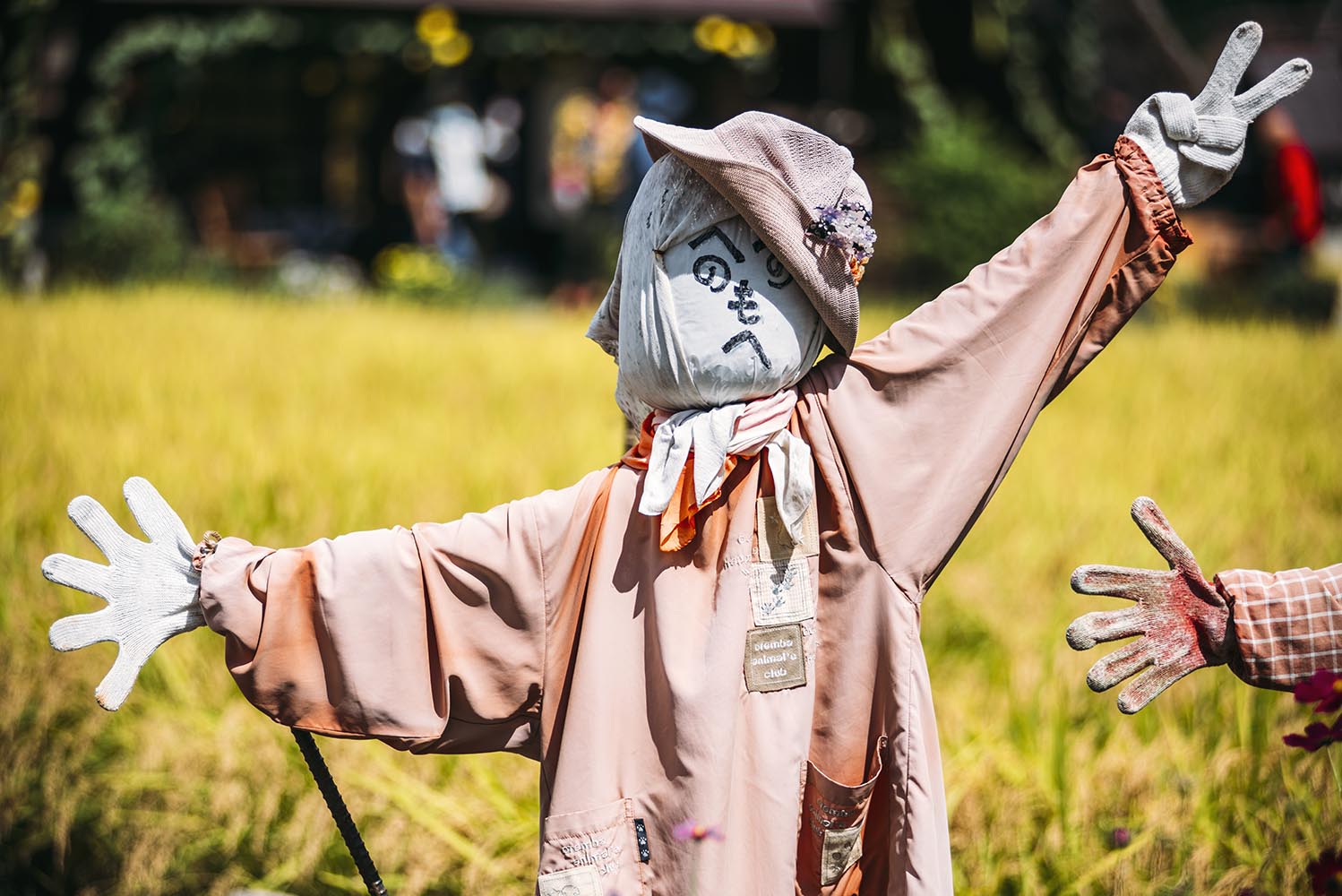 Scarecrow set in the field in Shirakawago, Japan