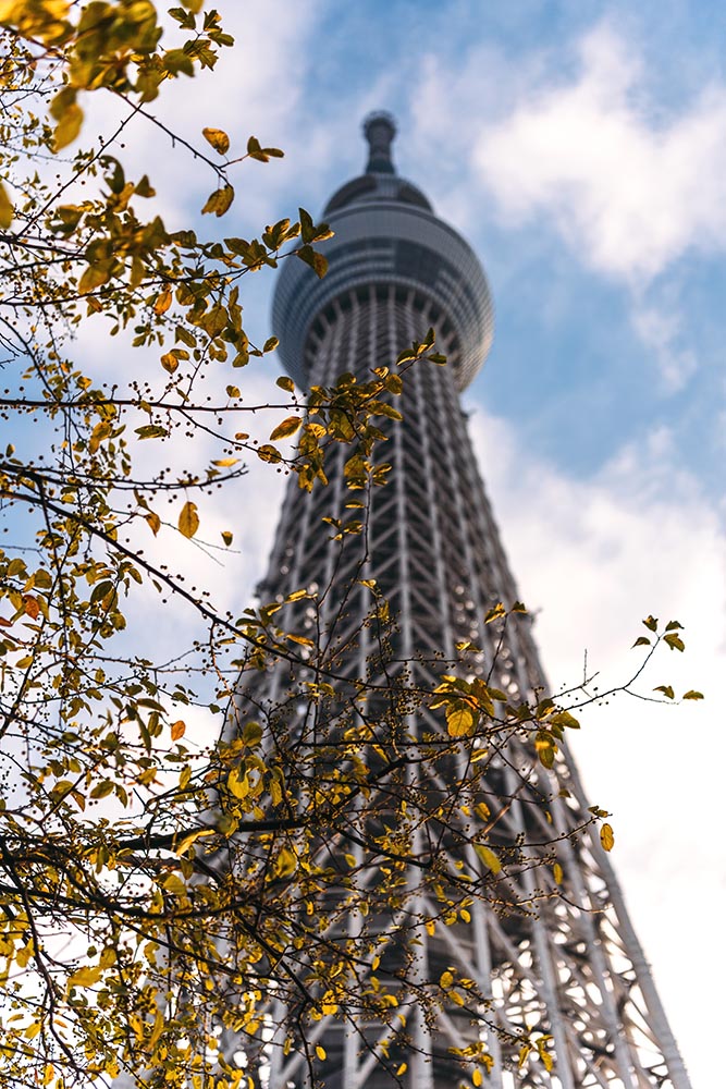 View of Tokyo Skytree, Tokyo, Japan