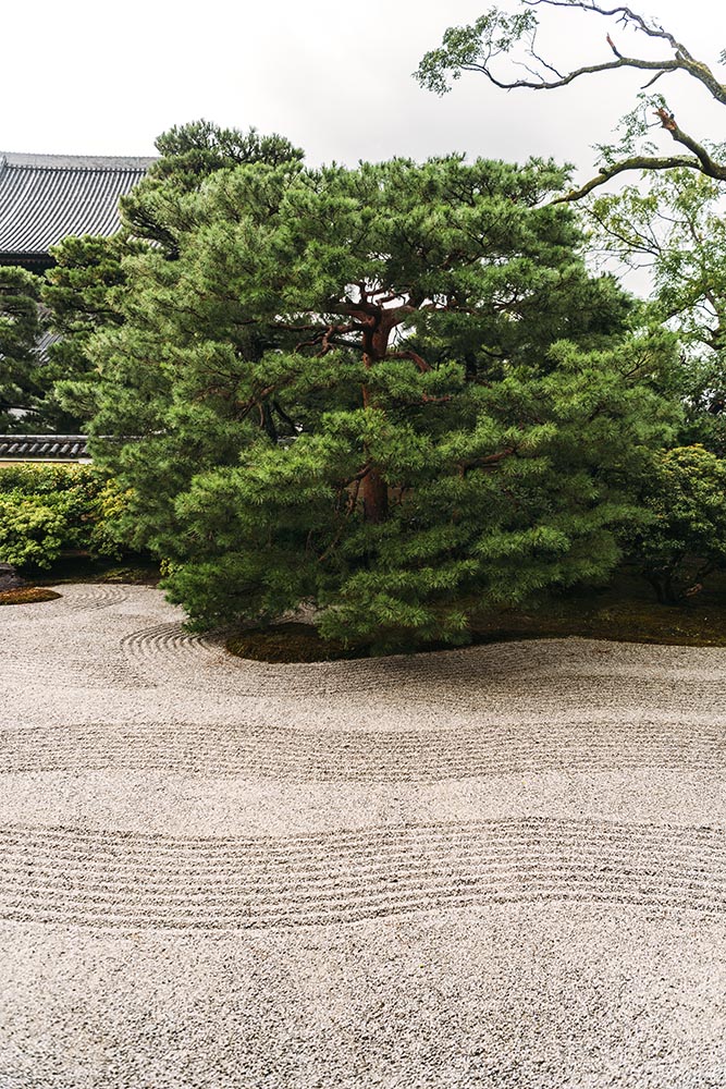 Japanese garden in Kyoto, Japan