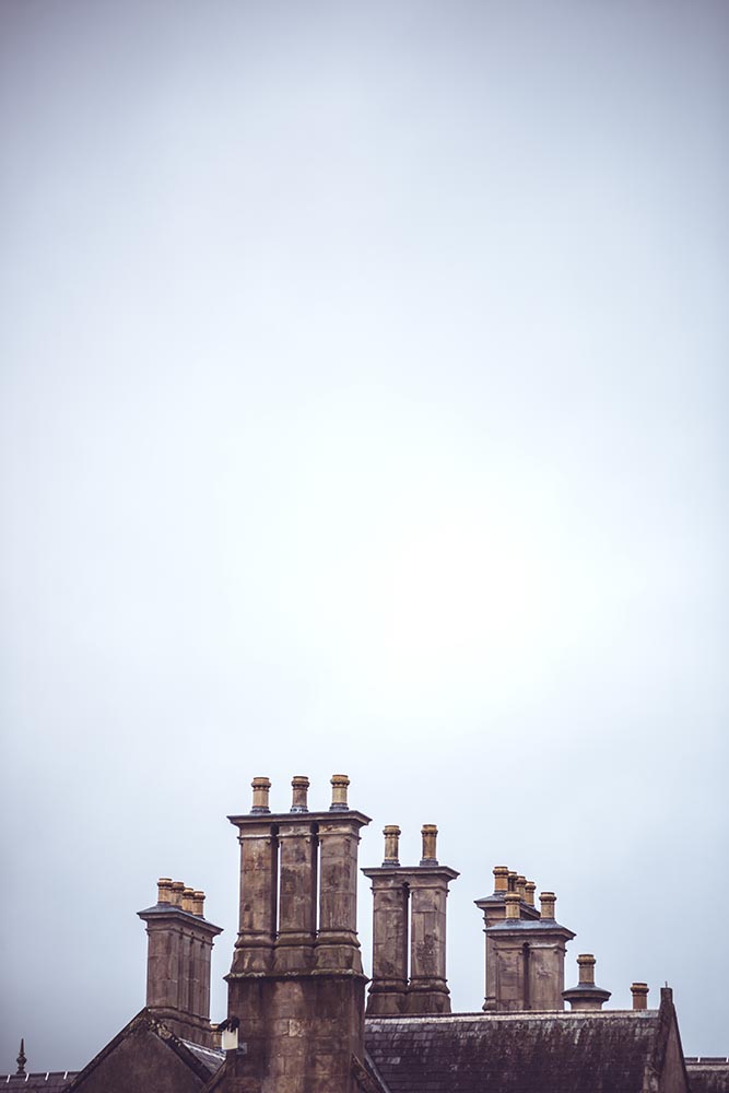 Chimneys and roof