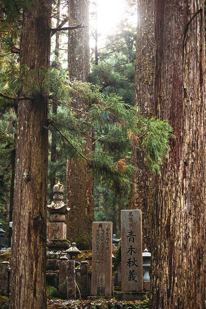 Graves and lanterns in Cemetery of Koyasan (Koya-San), Japan