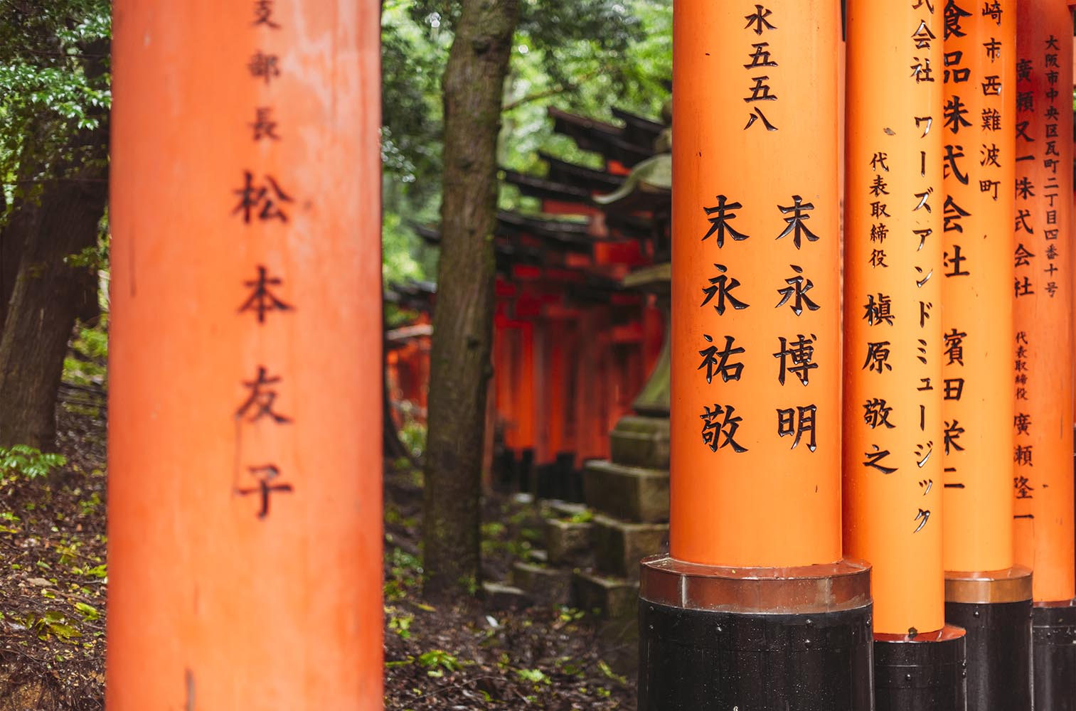 Torii gates of the Shinto sanctuary of Fushimi Inari Taisha, in